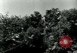 Image of 223rd Infantry Regiment in Korean WAr Korea, 1951, second 47 stock footage video 65675020775