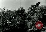 Image of 223rd Infantry Regiment in Korean WAr Korea, 1951, second 48 stock footage video 65675020775