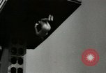 Image Aquazanies Flushing Long Island New York USA, 1949, de la seconde 6 séquences d'archives historiques vidéo 65675020791
