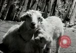 Standbild Dalai Lama Tibet, 1959, aus Sekunde 30 historischem Filmmaterial Videoclip 65675020792