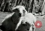 Standbild Dalai Lama Tibet, 1959, aus Sekunde 31 historischem Filmmaterial Videoclip 65675020792