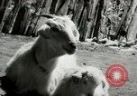 Standbild Dalai Lama Tibet, 1959, aus Sekunde 32 historischem Filmmaterial Videoclip 65675020792