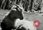 Standbild Dalai Lama Tibet, 1959, aus Sekunde 33 historischem Filmmaterial Videoclip 65675020792