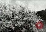 Standbild Dalai Lama Tibet, 1959, aus Sekunde 51 historischem Filmmaterial Videoclip 65675020792