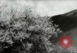 Standbild Dalai Lama Tibet, 1959, aus Sekunde 52 historischem Filmmaterial Videoclip 65675020792