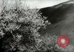 Standbild Dalai Lama Tibet, 1959, aus Sekunde 54 historischem Filmmaterial Videoclip 65675020792