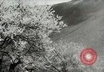 Standbild Dalai Lama Tibet, 1959, aus Sekunde 55 historischem Filmmaterial Videoclip 65675020792