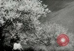 Standbild Dalai Lama Tibet, 1959, aus Sekunde 56 historischem Filmmaterial Videoclip 65675020792
