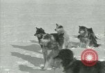 Standbild Byrd Expedition der Antarktis, 1929, aus Sekunde 30 historischem Filmmaterial Videoclip 65675020800