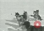Standbild Byrd Expedition der Antarktis, 1929, aus Sekunde 31 historischem Filmmaterial Videoclip 65675020800
