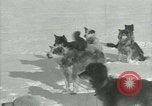 Standbild Byrd Expedition der Antarktis, 1929, aus Sekunde 32 historischem Filmmaterial Videoclip 65675020800