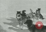 Standbild Byrd Expedition der Antarktis, 1929, aus Sekunde 33 historischem Filmmaterial Videoclip 65675020800