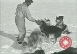 Standbild Byrd Expedition der Antarktis, 1929, aus Sekunde 40 historischem Filmmaterial Videoclip 65675020800