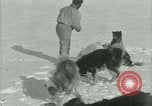 Standbild Byrd Expedition der Antarktis, 1929, aus Sekunde 43 historischem Filmmaterial Videoclip 65675020800