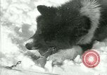 Standbild Byrd Expedition der Antarktis, 1929, aus Sekunde 50 historischem Filmmaterial Videoclip 65675020800