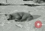 Standbild Byrd Expedition der Antarktis, 1929, aus Sekunde 53 historischem Filmmaterial Videoclip 65675020800