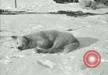 Standbild Byrd Expedition der Antarktis, 1929, aus Sekunde 54 historischem Filmmaterial Videoclip 65675020800
