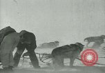 Image of Byrd Expedition Antarctica, 1929, second 8 stock footage video 65675020803