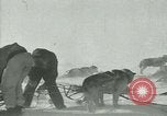 Image of Byrd Expedition Antarctica, 1929, second 10 stock footage video 65675020803