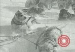 Image of Byrd Expedition Antarctica, 1929, second 18 stock footage video 65675020803