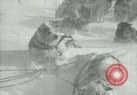 Image of Byrd Expedition Antarctica, 1929, second 20 stock footage video 65675020803