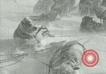 Image of Byrd Expedition Antarctica, 1929, second 21 stock footage video 65675020803