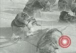 Image of Byrd Expedition Antarctica, 1929, second 22 stock footage video 65675020803