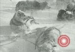 Image of Byrd Expedition Antarctica, 1929, second 23 stock footage video 65675020803