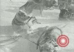 Image of Byrd Expedition Antarctica, 1929, second 24 stock footage video 65675020803