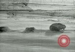 Image of Byrd Expedition Antarctica, 1929, second 25 stock footage video 65675020803