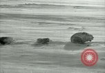 Image of Byrd Expedition Antarctica, 1929, second 27 stock footage video 65675020803