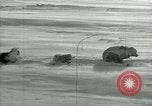 Image of Byrd Expedition Antarctica, 1929, second 30 stock footage video 65675020803