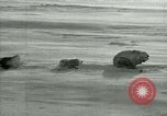 Image of Byrd Expedition Antarctica, 1929, second 31 stock footage video 65675020803