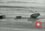 Image of Byrd Expedition Antarctica, 1929, second 32 stock footage video 65675020803