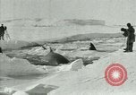 Image of Explorers Antarctica, 1929, second 38 stock footage video 65675020807