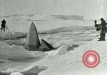 Image of Explorers Antarctica, 1929, second 49 stock footage video 65675020807