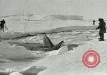 Image of Explorers Antarctica, 1929, second 53 stock footage video 65675020807
