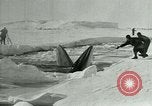 Image of Explorers Antarctica, 1929, second 54 stock footage video 65675020807