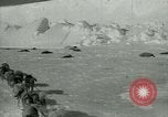 Image of Antarctic seals Antarctica, 1929, second 4 stock footage video 65675020808
