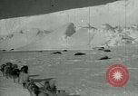 Image of Antarctic seals Antarctica, 1929, second 8 stock footage video 65675020808