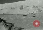 Image of Antarctic seals Antarctica, 1929, second 9 stock footage video 65675020808