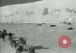 Image of Antarctic seals Antarctica, 1929, second 10 stock footage video 65675020808