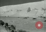 Image of Antarctic seals Antarctica, 1929, second 11 stock footage video 65675020808