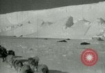 Image of Antarctic seals Antarctica, 1929, second 12 stock footage video 65675020808
