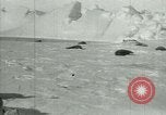 Image of Antarctic seals Antarctica, 1929, second 16 stock footage video 65675020808