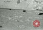 Image of Antarctic seals Antarctica, 1929, second 19 stock footage video 65675020808