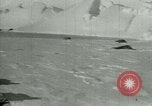 Image of Antarctic seals Antarctica, 1929, second 20 stock footage video 65675020808
