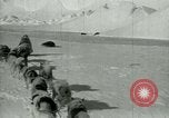 Image of Antarctic seals Antarctica, 1929, second 22 stock footage video 65675020808
