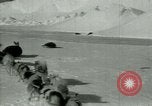 Image of Antarctic seals Antarctica, 1929, second 23 stock footage video 65675020808