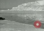 Image of Antarctic seals Antarctica, 1929, second 33 stock footage video 65675020808